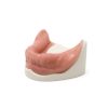 MANDIBULA S1 MUCOSA FHD gamma 360° Ansicht