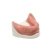 MANDIBULA S2 MUCOSA FHD gamma 360° view