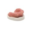MAXILLA S2 MUCOSA 360° Ansicht
