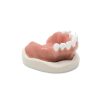 MAXILLA S1 MUCOSA FHD gamma 360° Ansicht