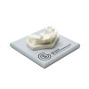MAXILLA C1 BONE Arbeitsplatte C 360°