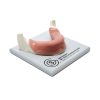 MANDIBULA C1 MUCOSA auf Modellserie C Arbeitsplatte (1074) 360° Ansicht