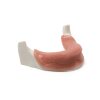 MANDIBULA C1 MUCOSA FHD gamma 360° Ansicht