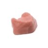 MAXILLA B1 MUCOSA FHD gamma 360° Ansicht