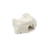 MAXILLA B1 BONE FHD gamma 360° Ansicht