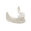 MANDIBULA B6 BONE 360° Ansicht