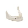 MANDIBULA B5 BONE FHD gamma 360° Ansicht