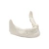 MANDIBULA B4 BONE FHD gamma 360° Ansicht