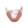 MANDIBULA B1 anatomisch 360° Ansicht
