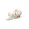MAXILLA A3 BONE FHD gamma 306° Ansicht