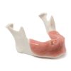 MANDIBULA A3 MUCOSA FHD gamma 360° Ansicht
