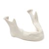MANDIBULA A2 BONE FHD gamma 360° Ansicht