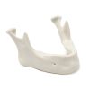 MANIDIBULA A1 BONE 360° Ansicht