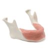 MANDIBULA A1 MUCOSA FHD gamma 360° Ansicht