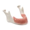 MANDIBULA A2 MUCOSA FHD gamma 360° Ansicht