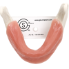 MANDIBULA B1 ANAT. FHD gamma 360° Ansicht